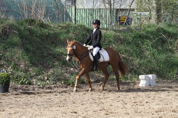 Bild 1168 - WBO-Turnier am 9.4.11